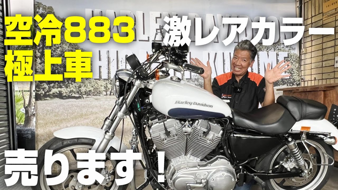 激レア ハーレーダビッドソン クーラーボックス