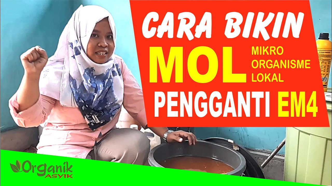 Cara Sederhana Membuat MOL Pengganti EM4 