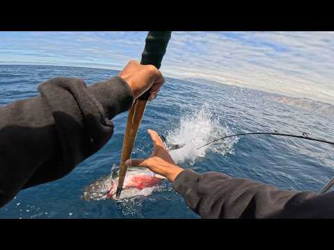 Big Tuna Dreams Season 5 Episode 2 Return of the Mac