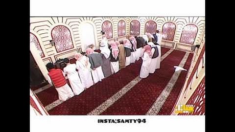 تلاوة سعد الكلثم سورة التكاثر &  سورة النبأ
