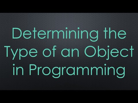 Determining the Type of an Object in Programming