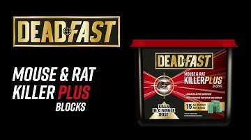 How to use Deadfast Mouse & Rat Killer Plus Blocks