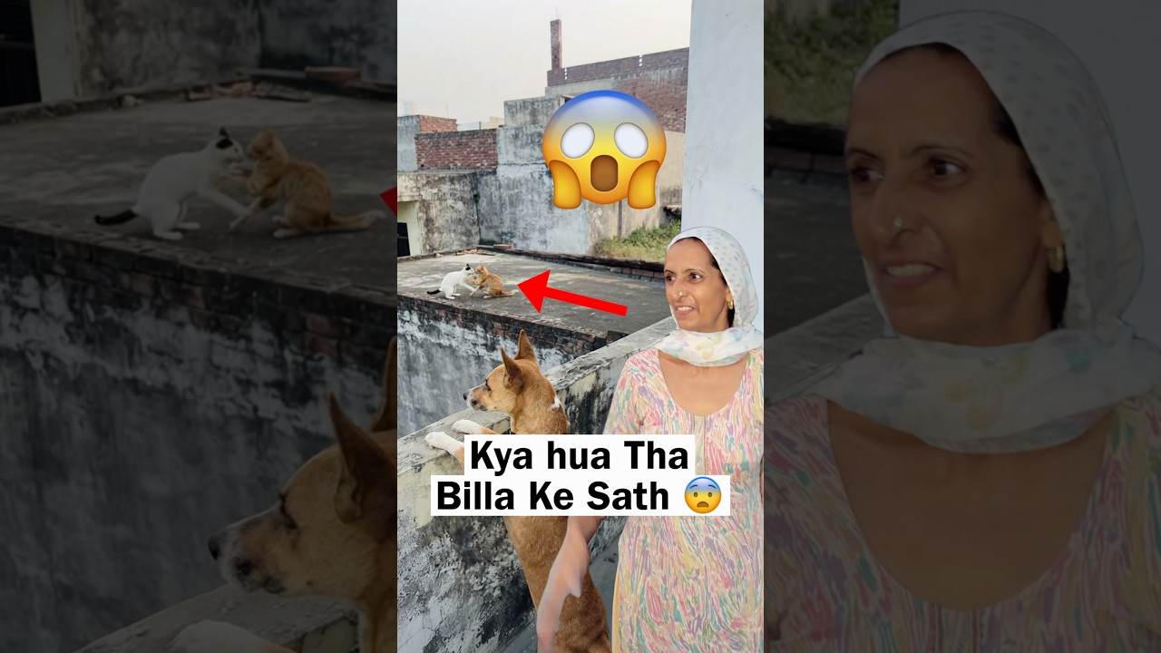 Akhir Kya Hua Tha Billa ko 😨