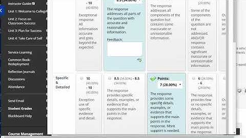 Grading Bb Essay Questions
