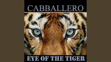 Eye of the Tiger