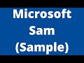 Microsoft Sam Sample