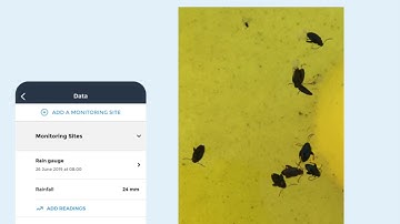 Recording farm measurements with fieldmargin