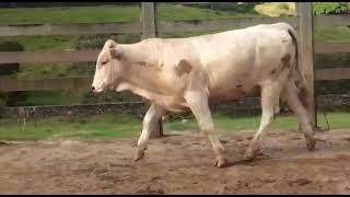 6049 VID 20230328 WA0100