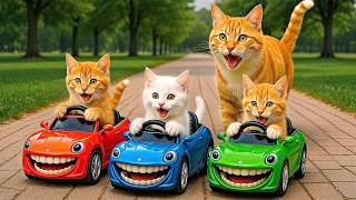 Live 🔴Mama Cat And Kitten ✨Funny Cat | Kucing 🌻 Cat Videos 😿 Cute Cat | Meow Meow