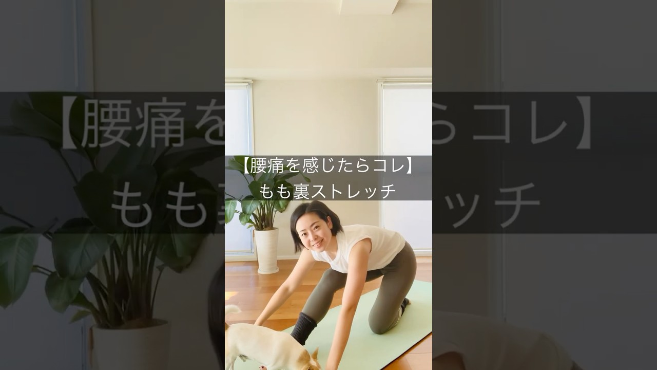 腰が硬い人はもも裏も硬い‼️😱 #shorts