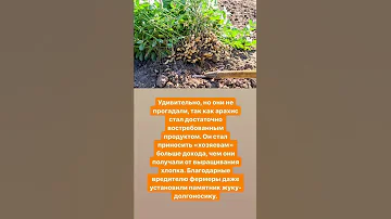 Жук долгоносик - знайте как бороться #дачныйагроном #садиогород #shorts