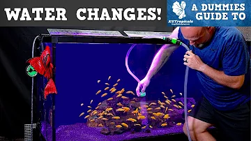 À quelle fréquence faut-il changer l'eau après avoir installé l'aquarium ?