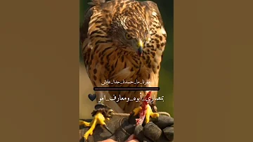 اجمل حالات واتس أب انستا الفنان محمد الشيخ 