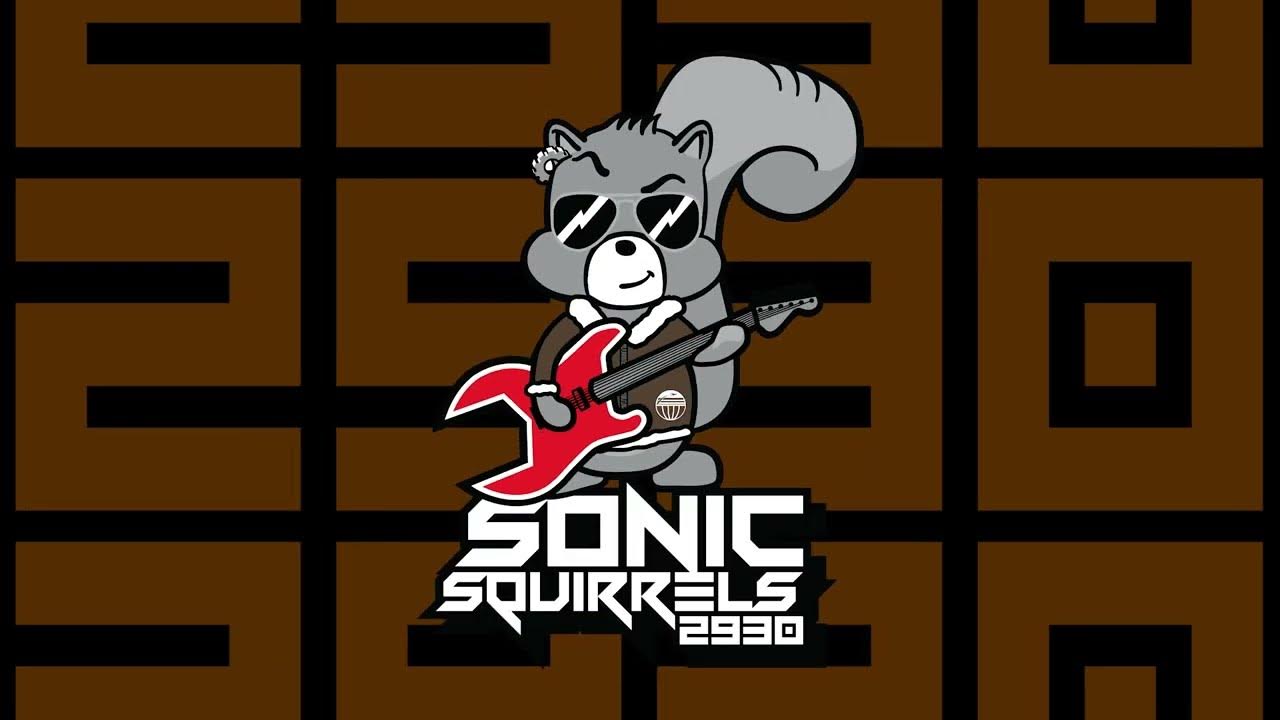 FRC 2930 Sonic Squirrels Sundome Event Recap YouTube