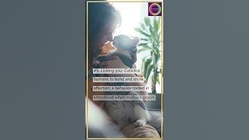 7 Cat Behaviors Explained