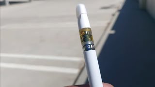 Raw Garden: Mystic Mist Cartridge Review
