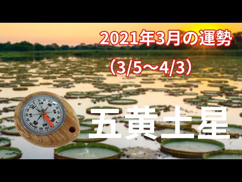 五黄 の 年 五黄 の 年