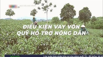 Điều kiện vay vốn quỹ hỗ trợ nông dân