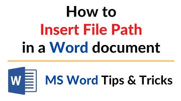 How to Insert File Path in a Word document