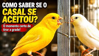 ⚠️CUIDADO, se errar NISSO, pode  por tudo a PERDER
