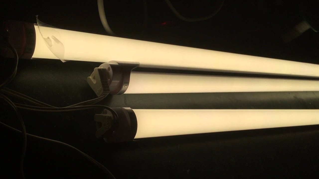 23+ Max Led Tube Light Images