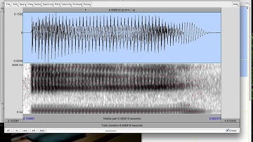 Praat Tutorial with Sound