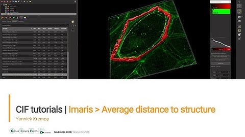 CIF Tutorials | Imaris : Average distance to structure