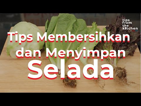 Video: Petua Untuk Membersih Dan Menyimpan Salad