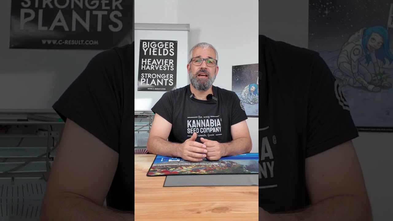 Neue Strains von Barney´s Farm