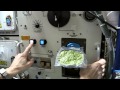 Chris' Kitchen Part Deux: Space Spinach Strikes Back