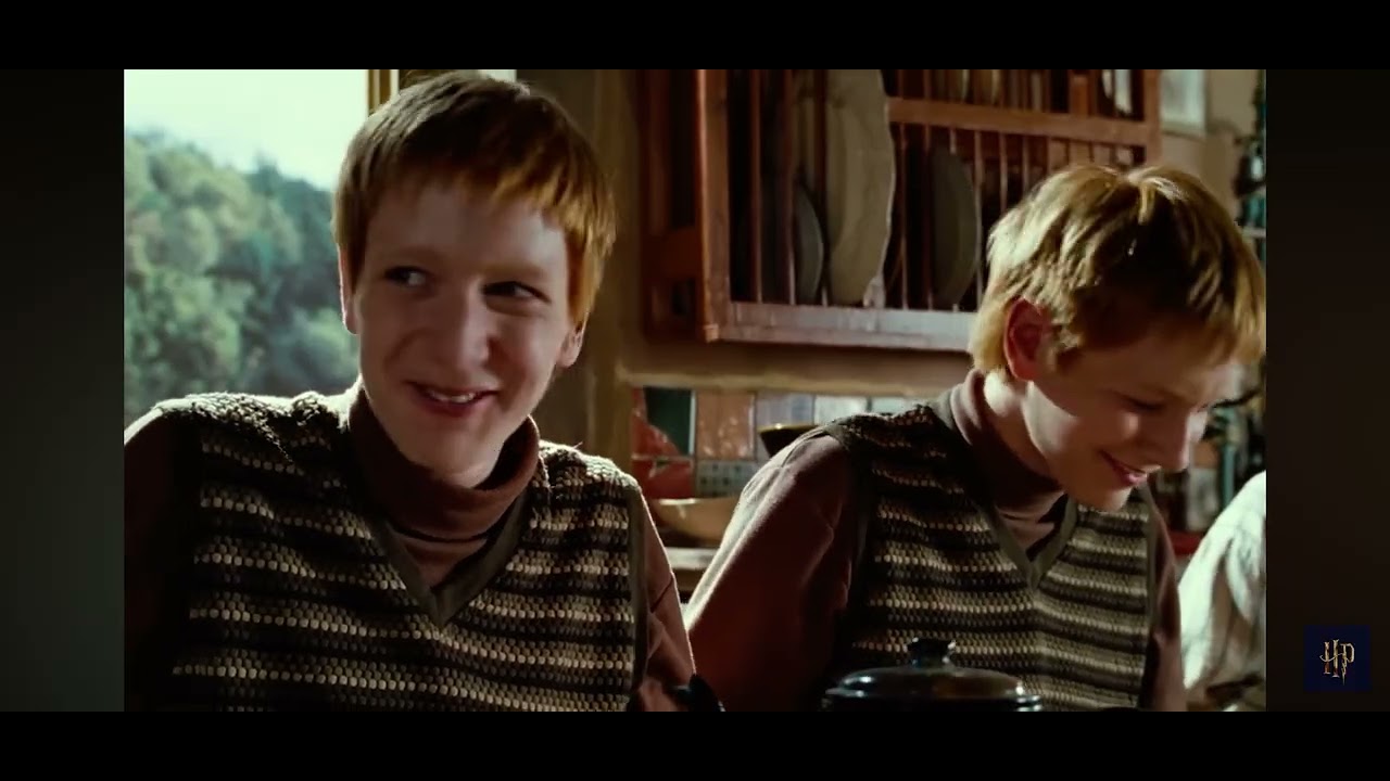 Harry Potter and the Philosopher Stone scene