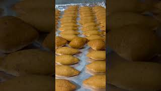 كببحلبسمبوسك حلبامالكببوالمحاشيaleppo kibbeh sambousakyummyfood