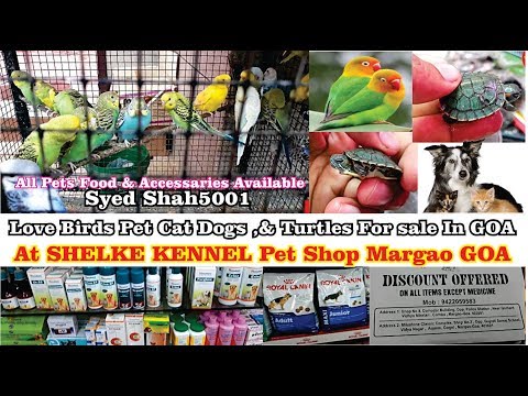 Video: Ipinagbabawal Ng California Ang Pet Shop Na Nagbebenta Ng Mga Hindi-Pagsagip Na Mga Hayop