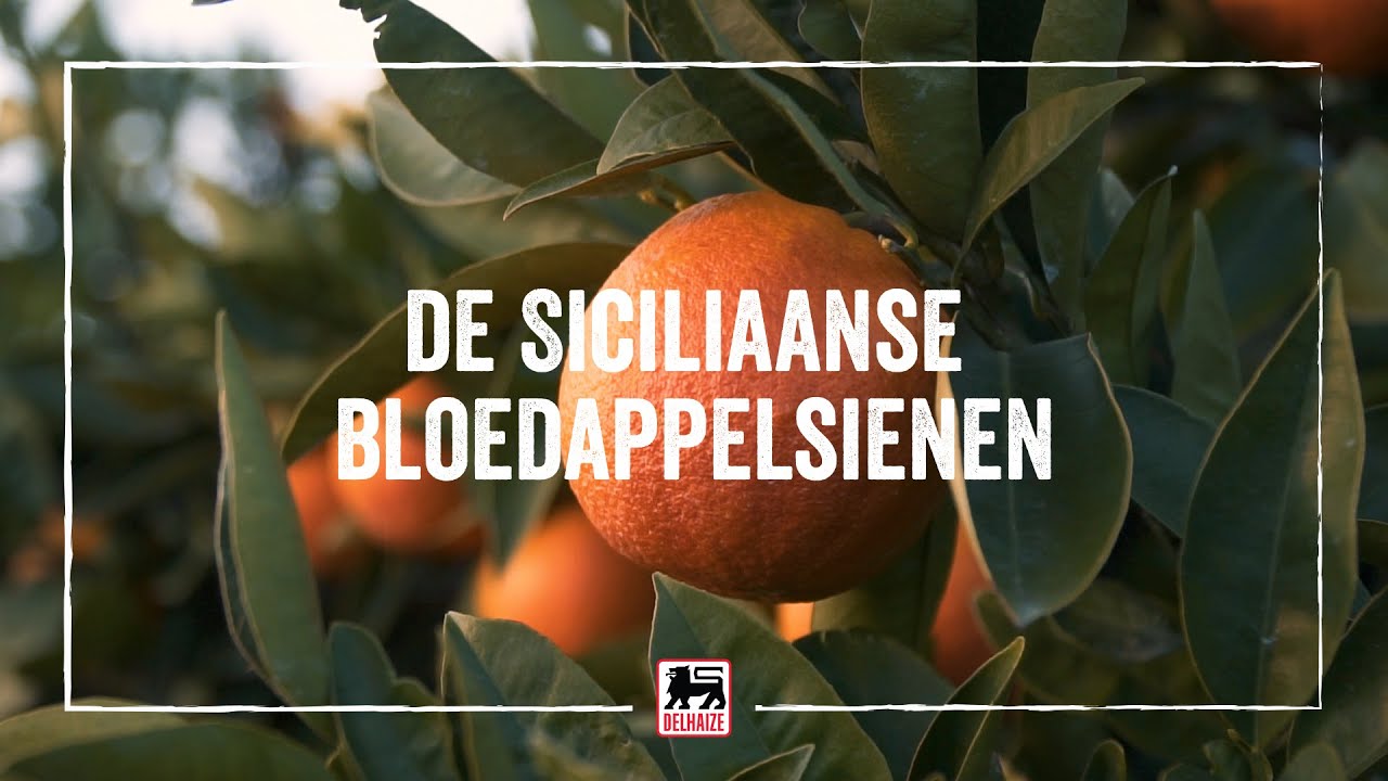 Ontdek het geheim achter de Siciliaanse bloedappelsienen - YouTube