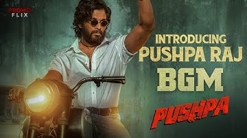 Pushpa Raj Introducing BGM | Pushpa BGM | Instrumental BGM | Allu Arjun, Rashmika | DSP, Sukumar
