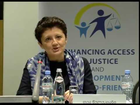 იუსტიციის მინისტრი არასრულწლოვანთა მართლმსაჯულების რეფორმის მხარდამჭერი მულტიდისციპლინური ჯგუფის შემ