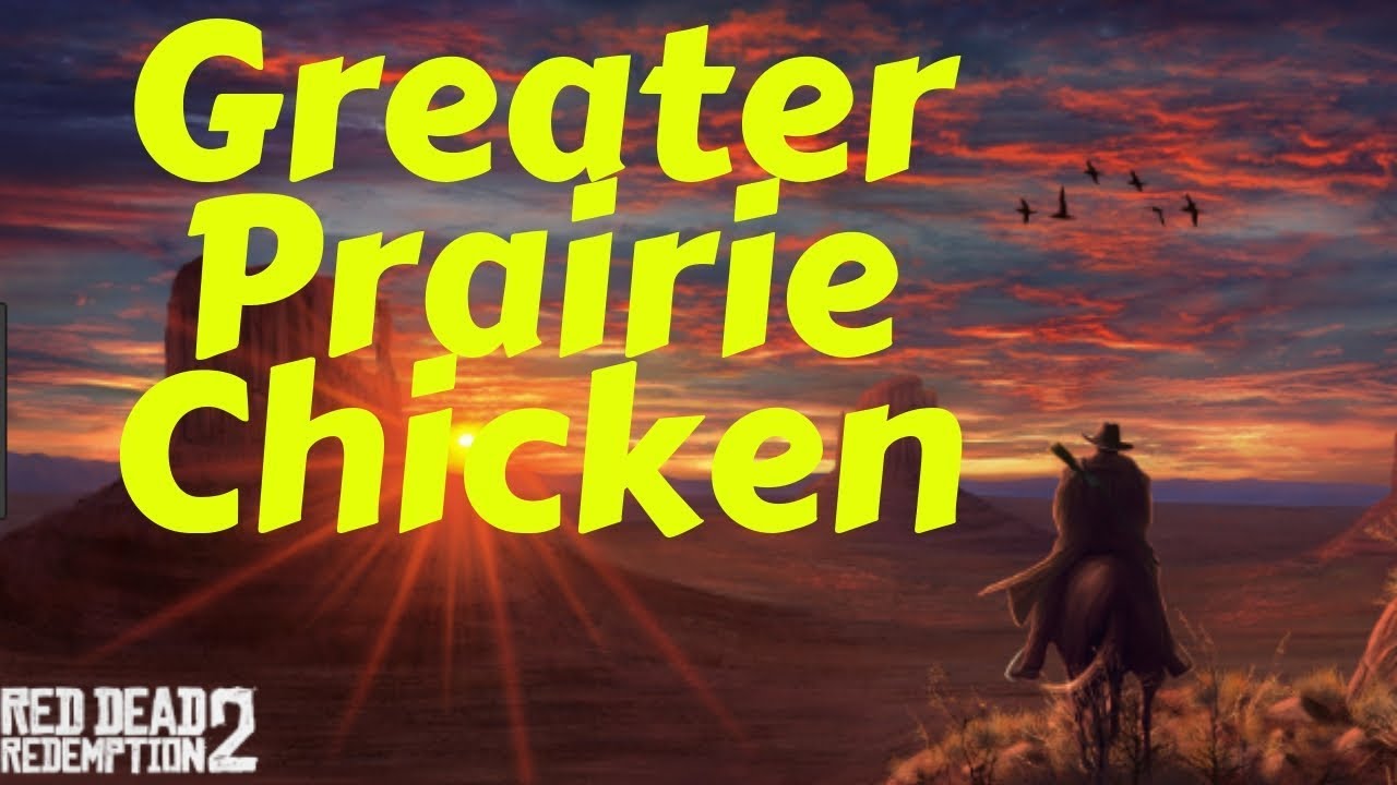 Red Dead Redemption 2 Greater Prairie Chicken YouTube