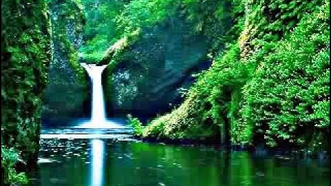 عندما تكون بحة الصوت في تلاوة القران