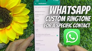 how to customise whatsapp notification sound for a specific contact