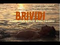 Brividi - feat. by Attilio Carducci