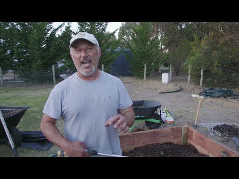 एक उठे हुए बगीचे के बिस्तर में मिट्टी की परतों का निर्माण कैसे करें