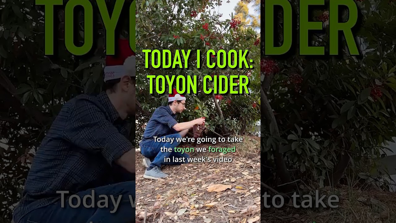 I made a foraged local holiday cider - 
