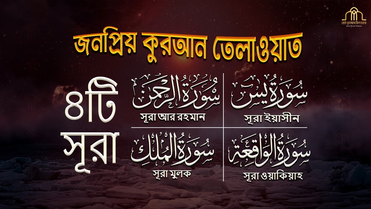 Best Recitation of Surah Yasin | Surah Ar Rahman | Surah Waqiya | Surah Mulk - by Alaa Yasir