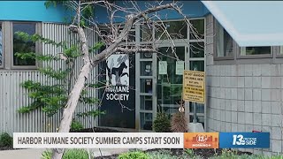 Harbor Humane Society summer camps start soon