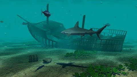 Underwater Scene - OpenGL