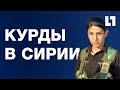 Курды в Сирии!