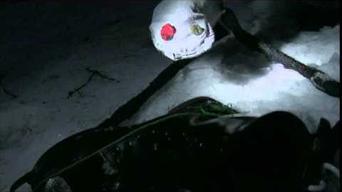 Fan Music Video- Fantomas: Experiment in Terror