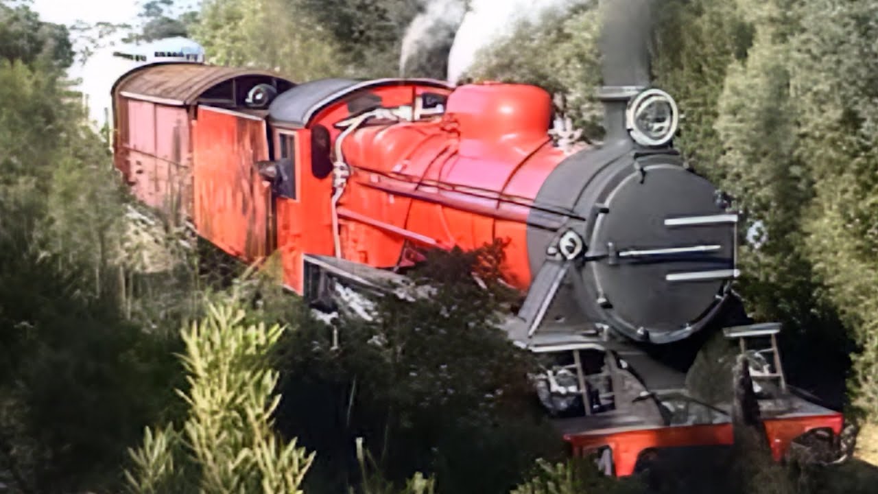 Steam locos in Australia: 1999 steam with M6