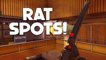 NEW TV STATION RAT SPOTS (Arena Breakout)