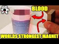 इन  मज़ेदार  मैगनेट ट्रिक्स को ज़रूर आज़माए | CRAZIEST Magnet Tricks You Should Try